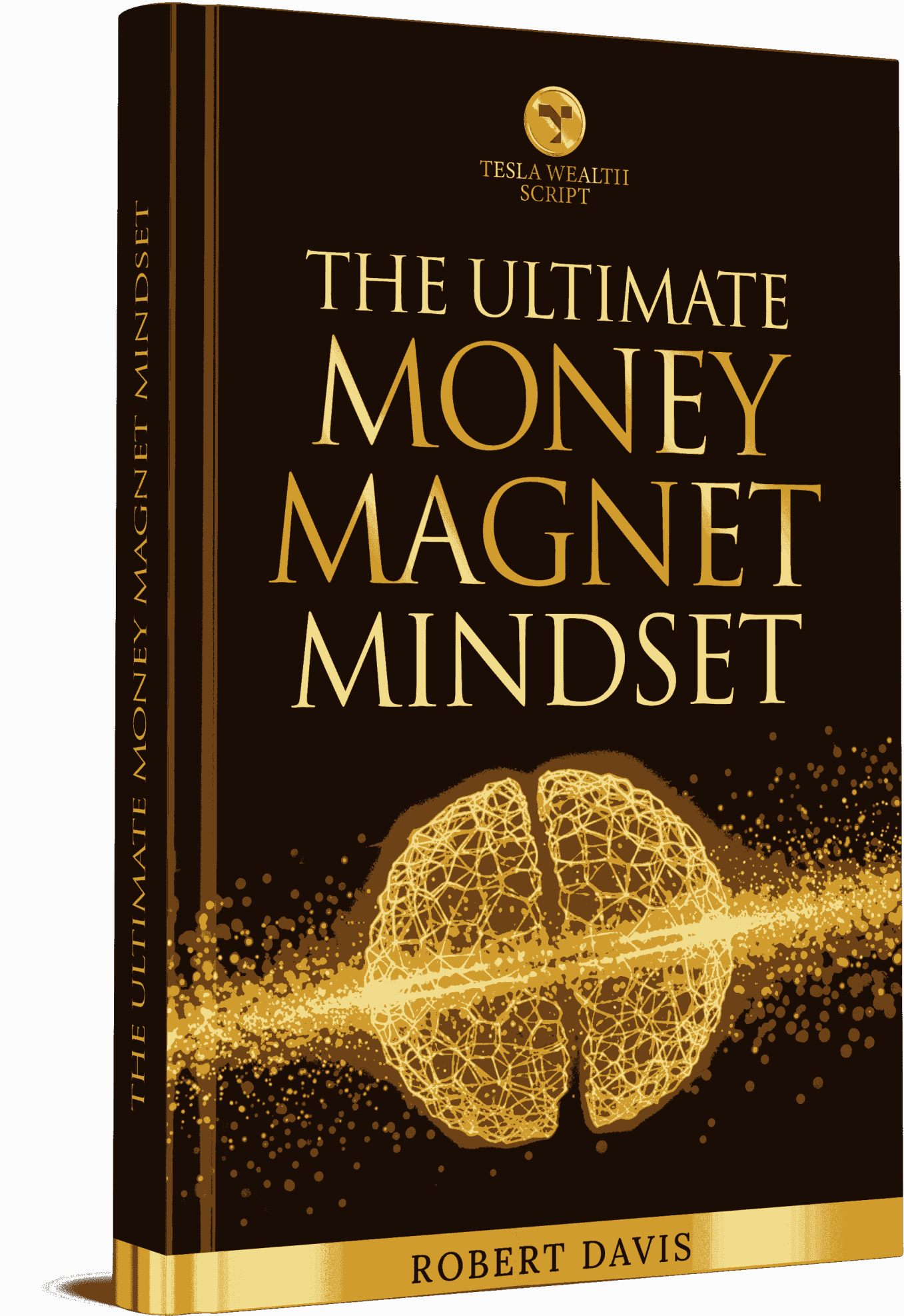 Tesla Wealth Script bonus materials – wealth manifestation audio program components